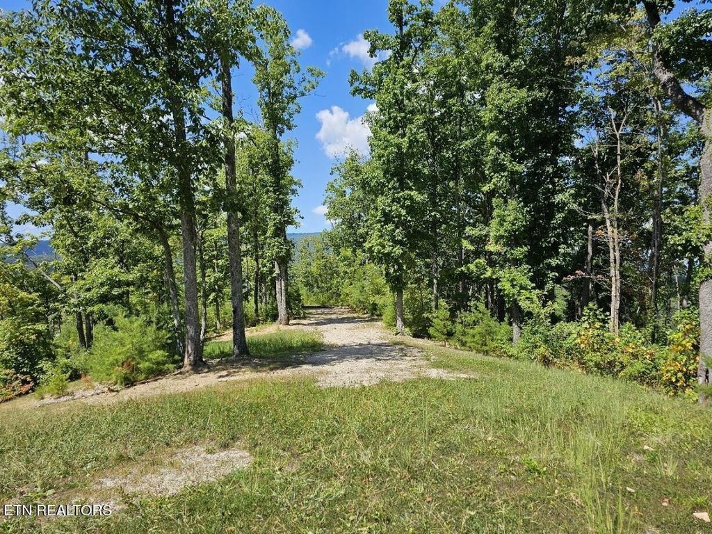 0 Crown Circle, Sevierville