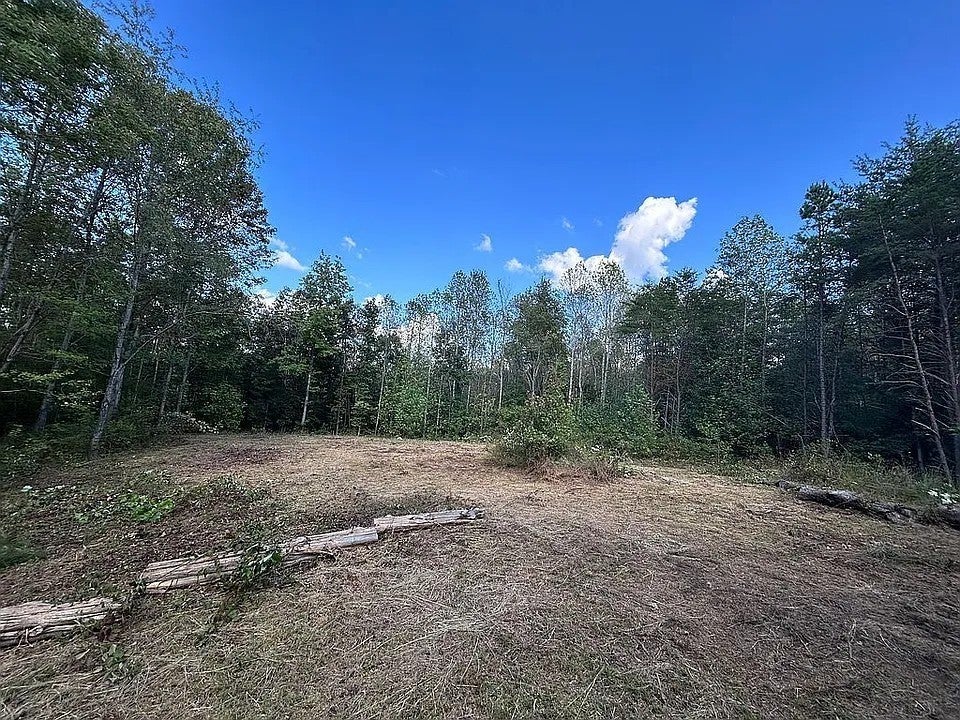 Photo of Listing #3149493