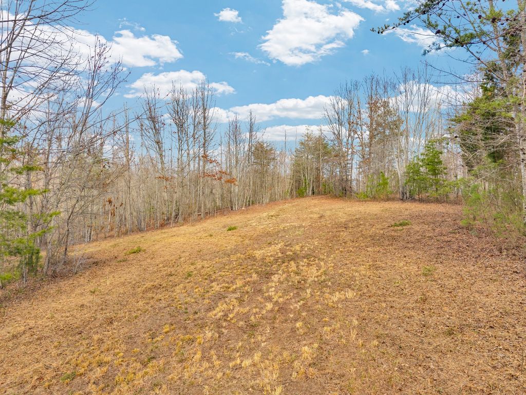 0 Soak Creek Ln, Grandview