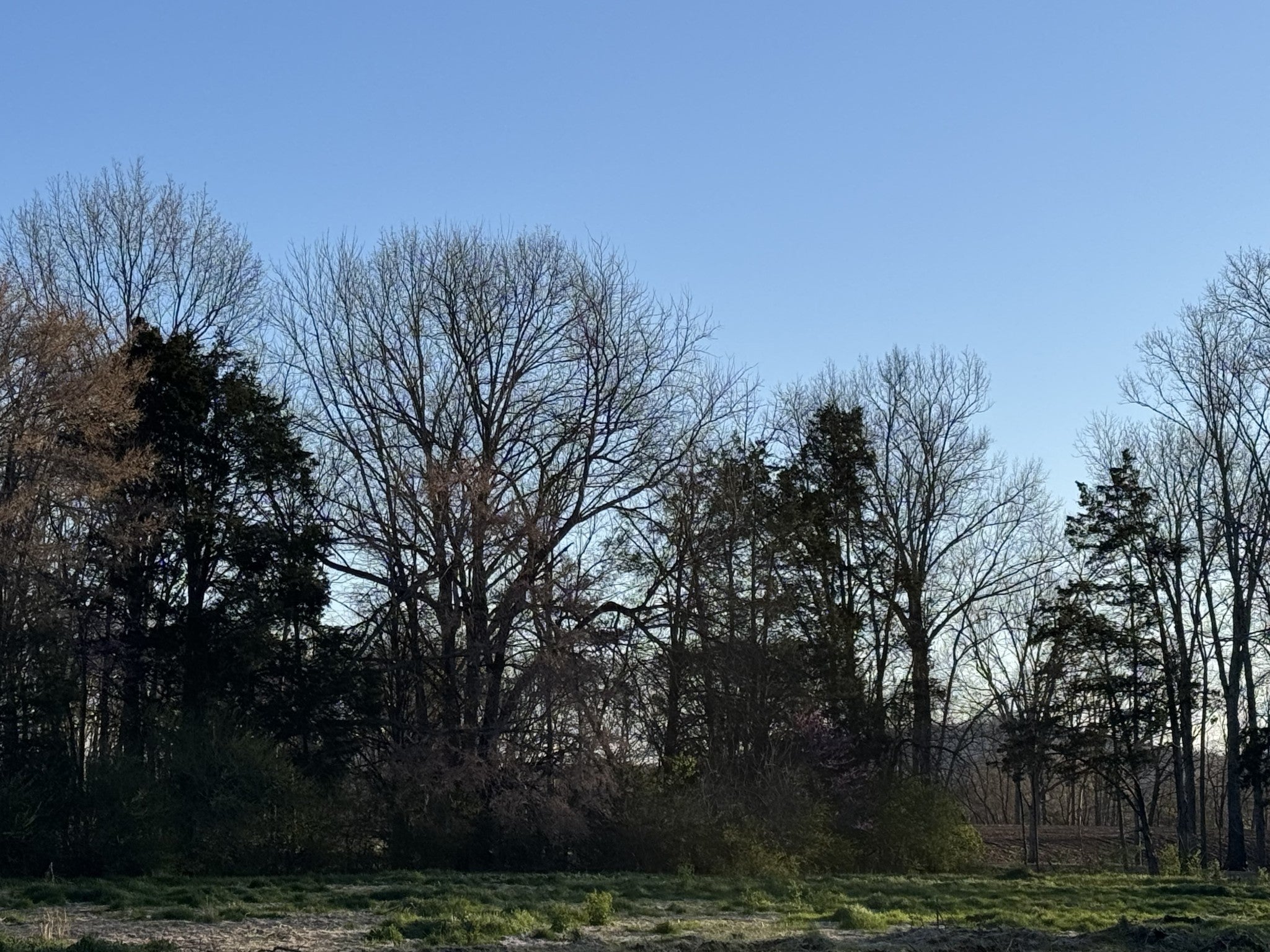 Photo of Listing #3150296