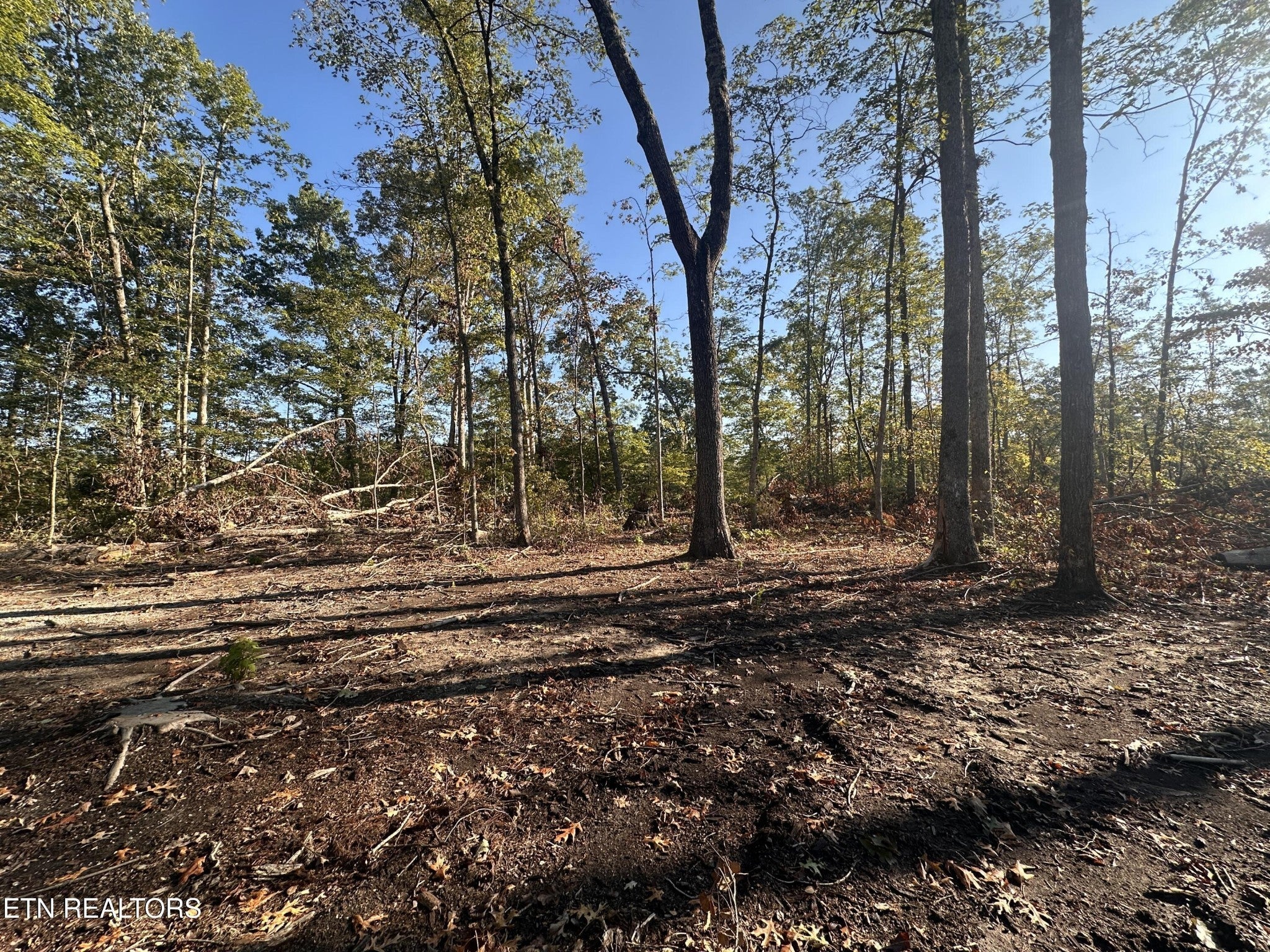 Photo of Listing #3152371