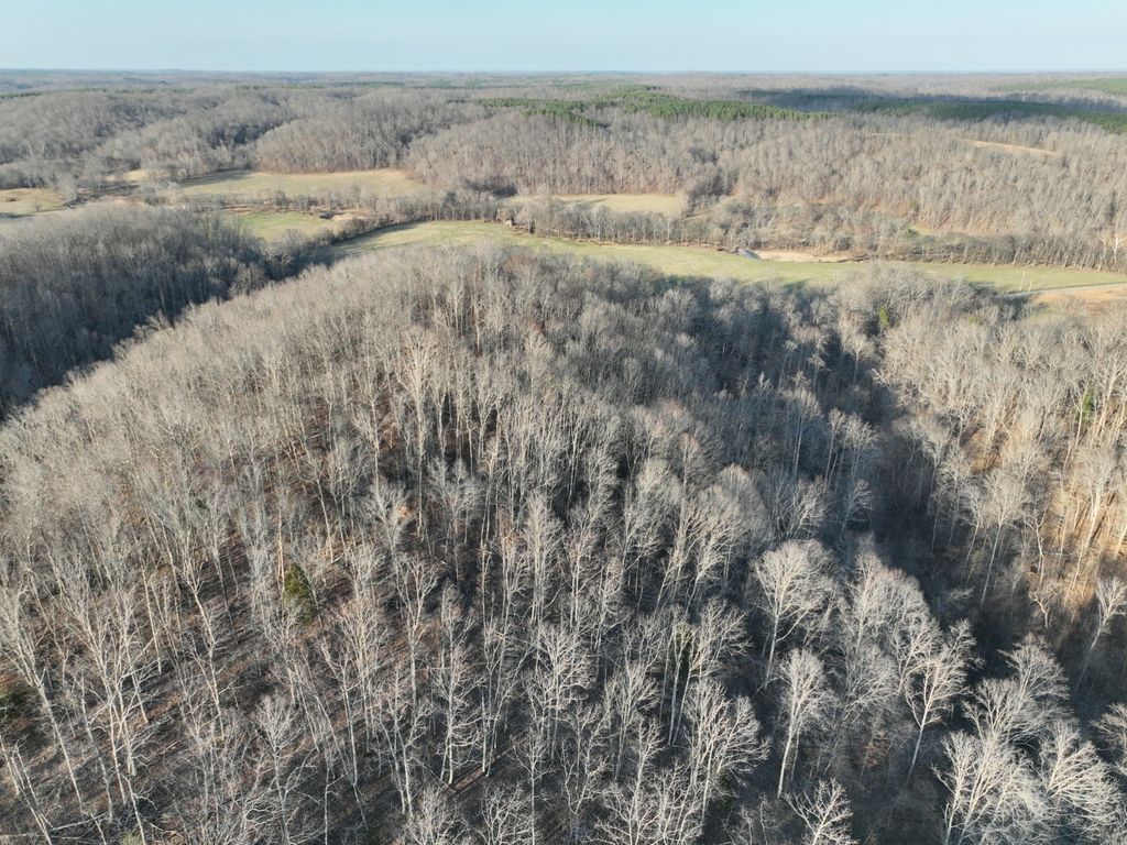 1356 Upper Standing Rock Rd, Dover
