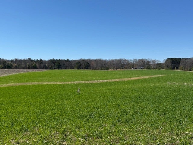 Photo of Listing #3152933