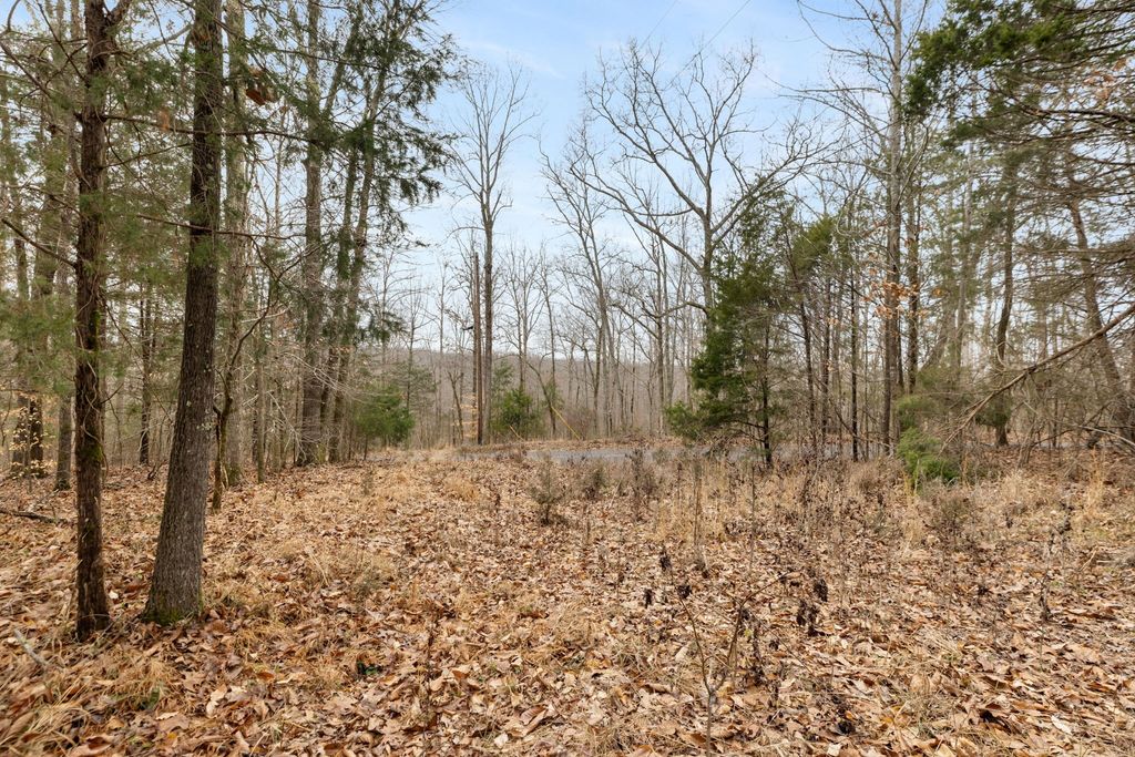 0 Griffintown Road, White Bluff