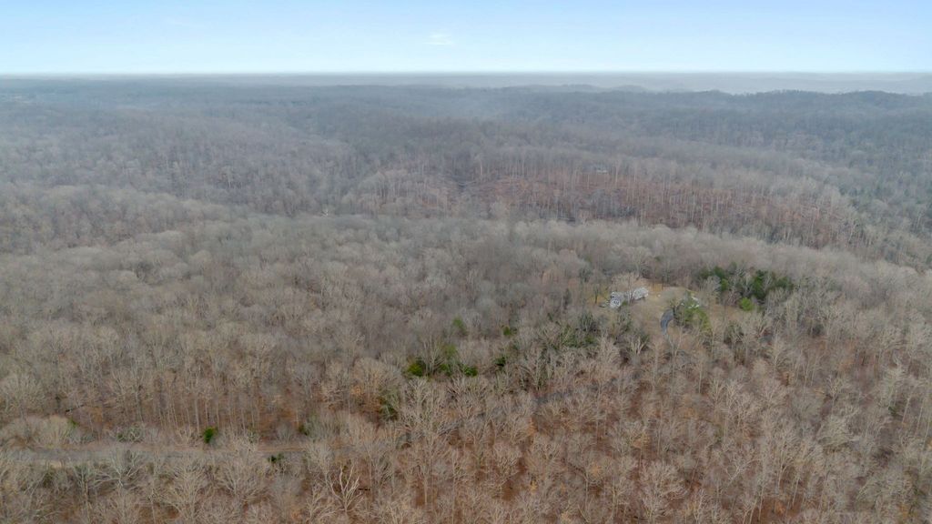 0 Griffintown Road, White Bluff