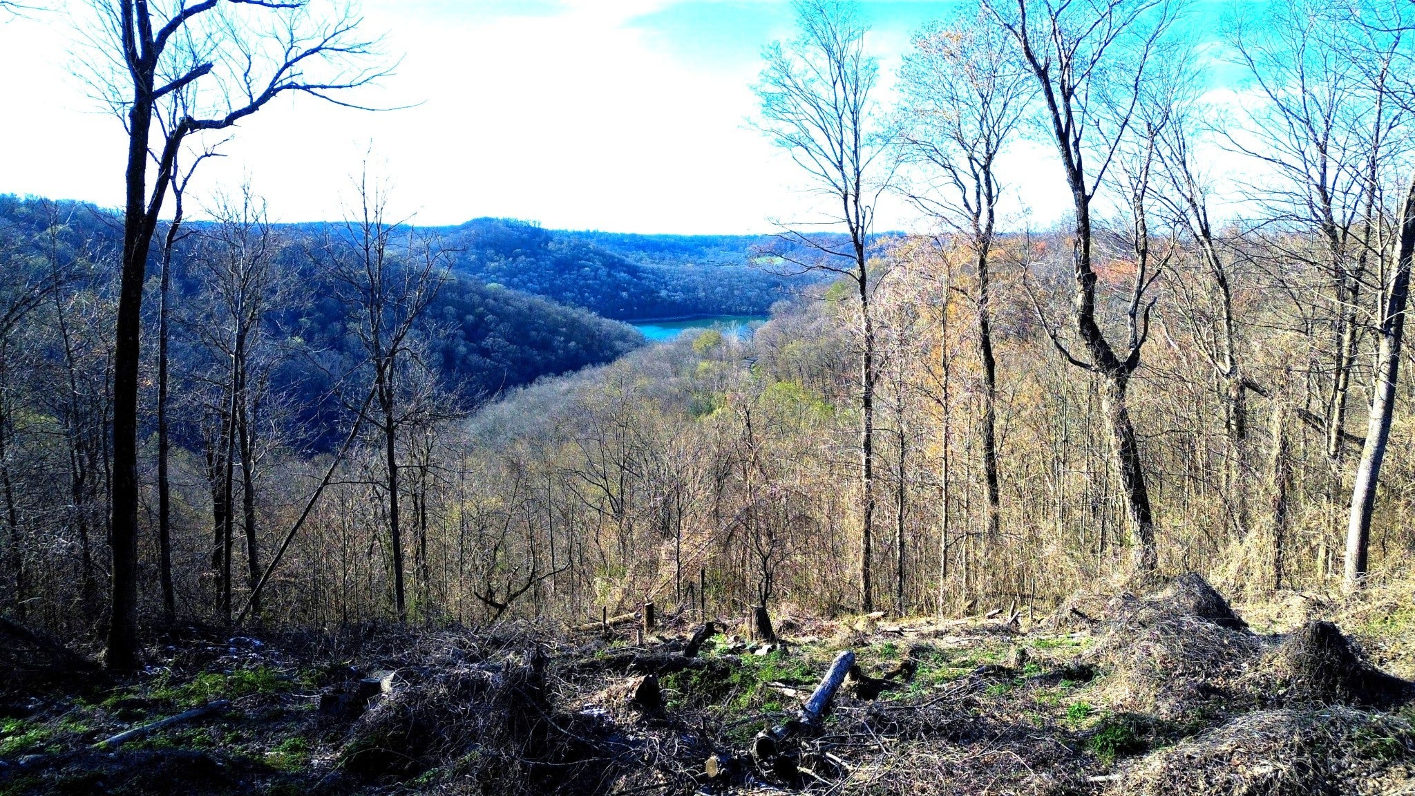 Photo of Listing #3153200