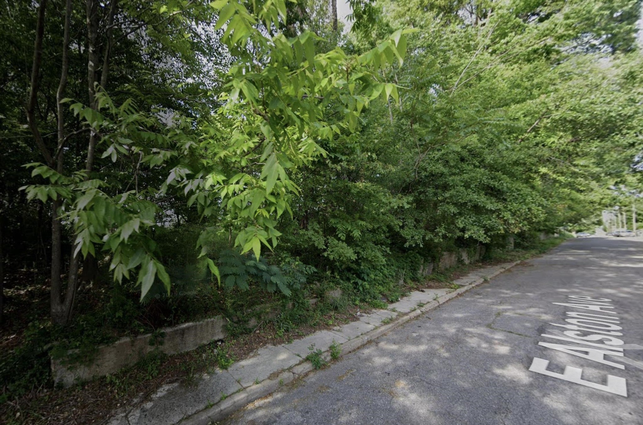 Photo of Listing #3154760