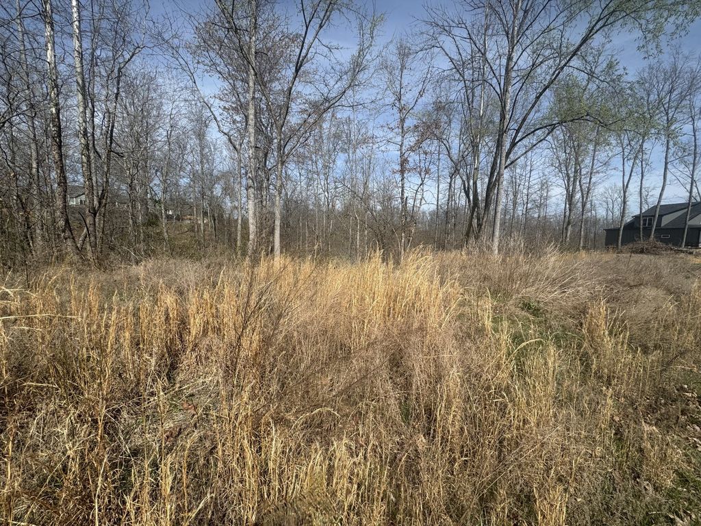 0 Ridgeway Drive, Smithville