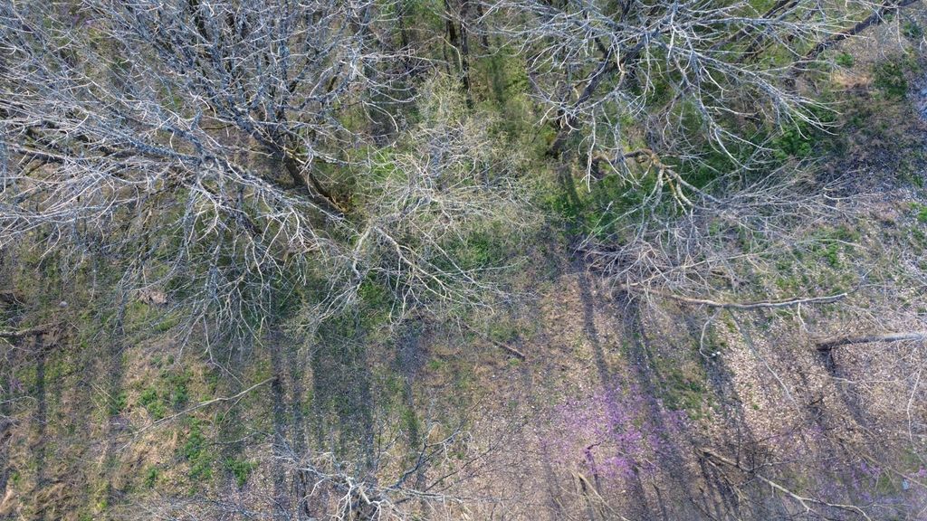 0 Wilson Cir, Smithville
