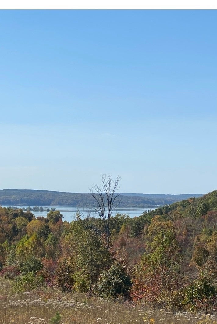 Photo of Listing #3155460