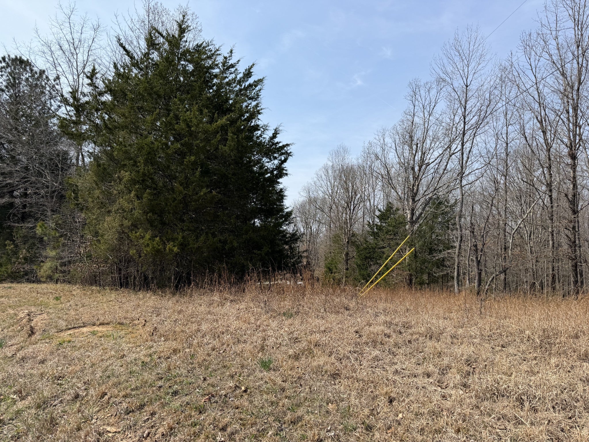 Photo of Listing #3155541