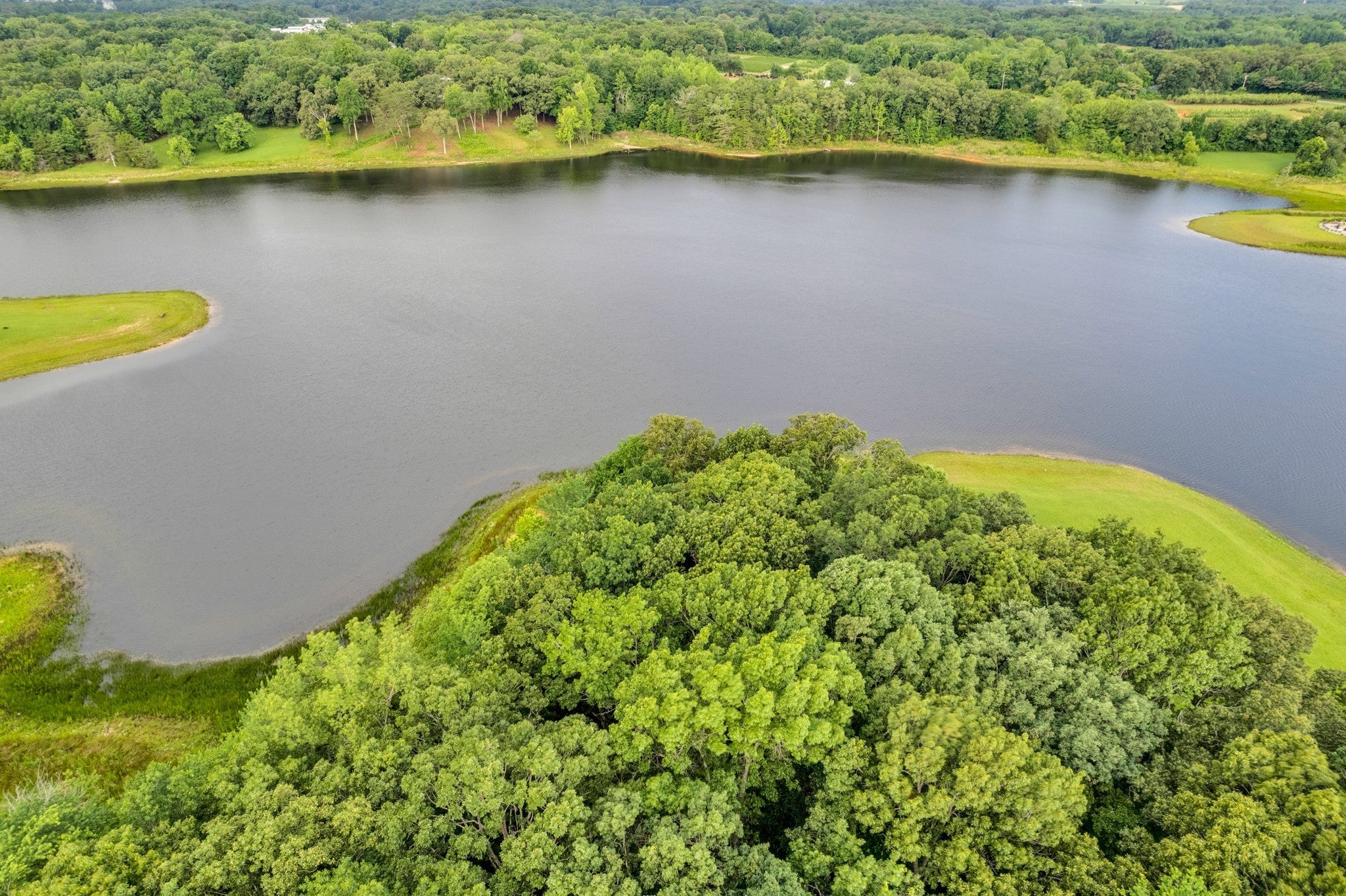 Photo of Listing #3155563