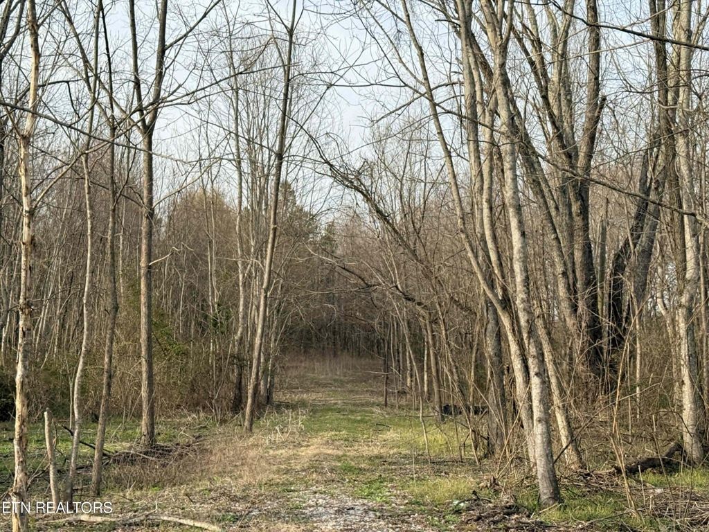 1115 Frank Campbell Rd, Jamestown