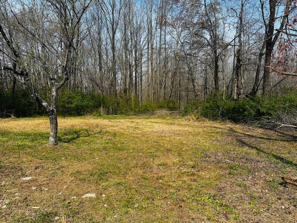 7120 Cobb Cir, Fairview