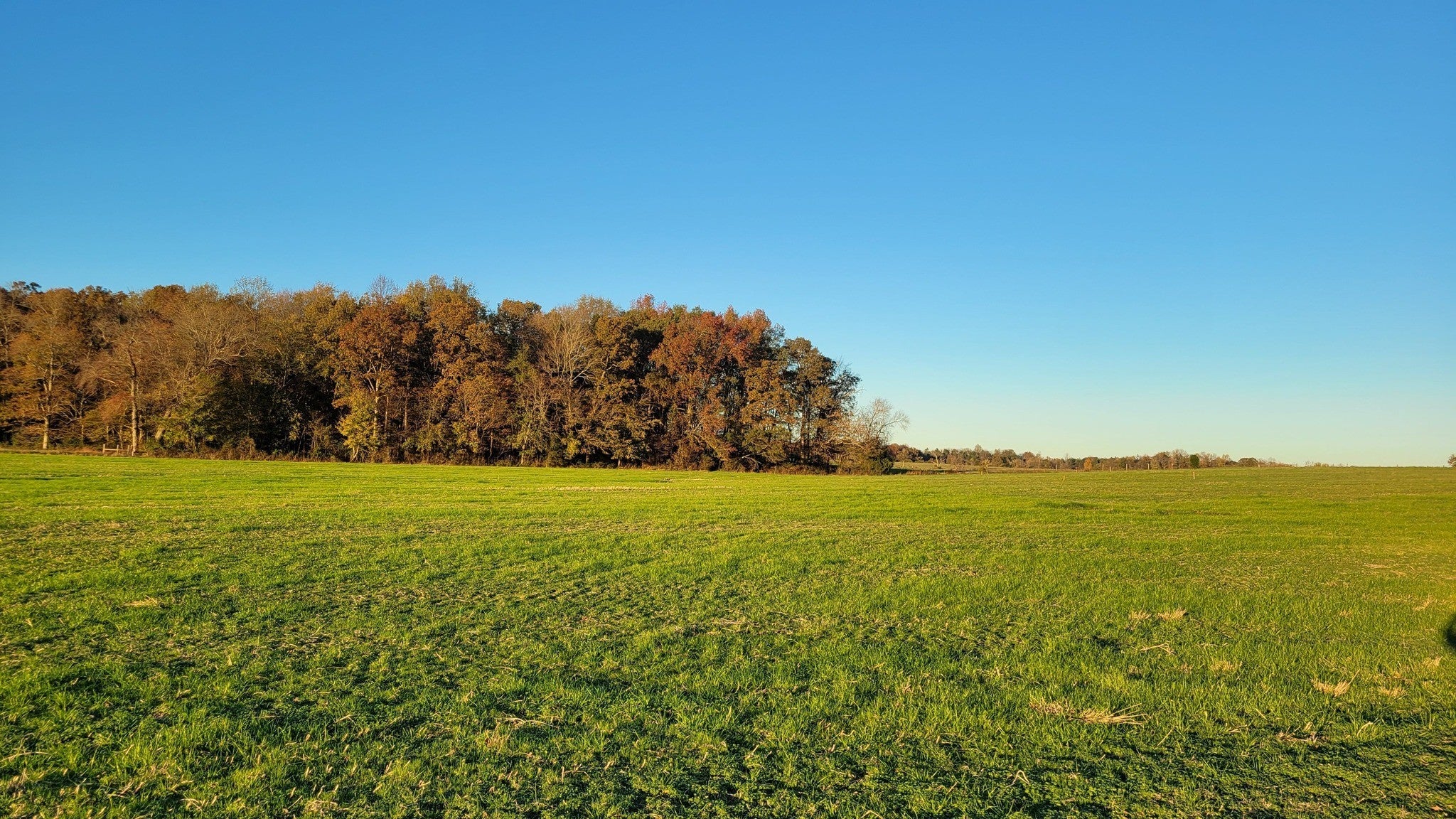 Photo of Listing #3155763