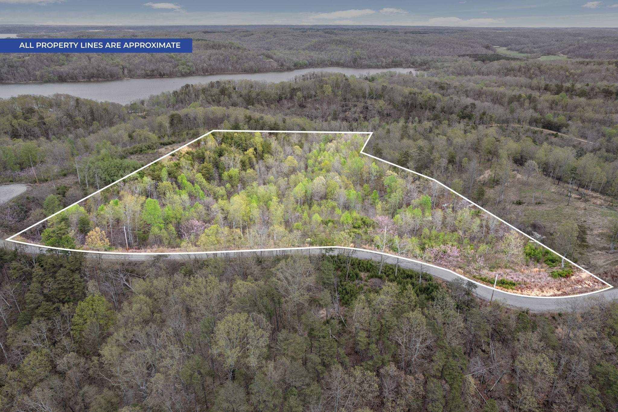 Photo of Listing #3155929