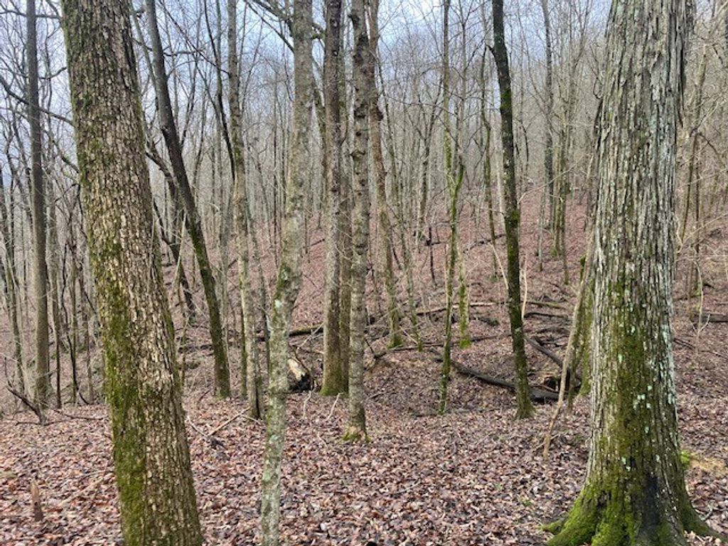 0 Talley Top Trl, Huntland