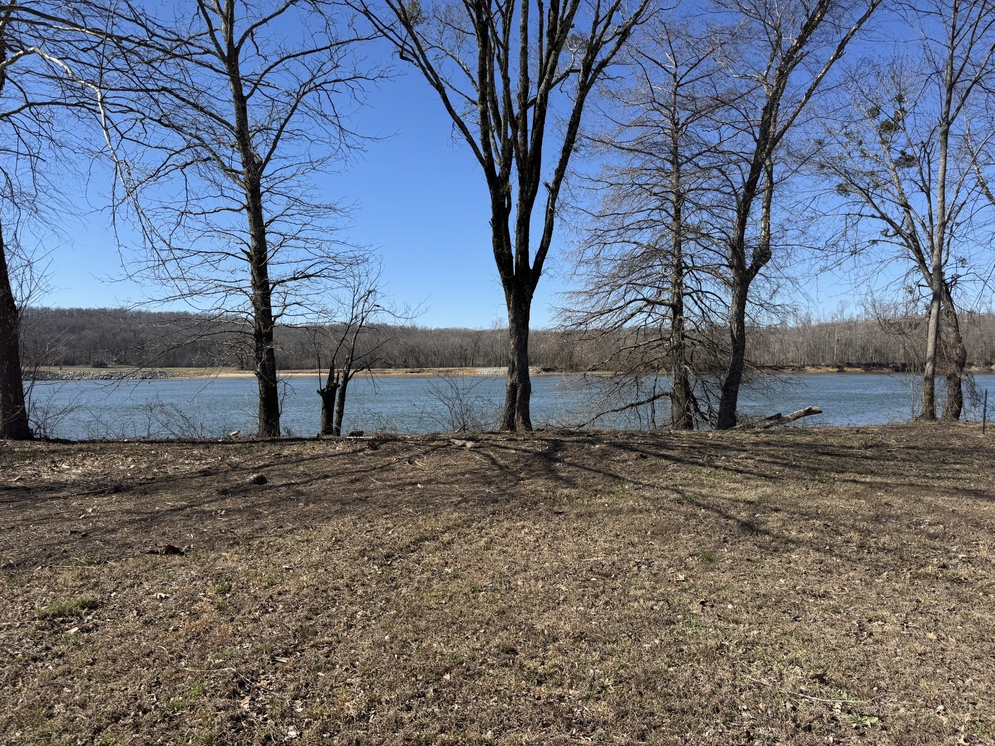 Photo of Listing #3156324