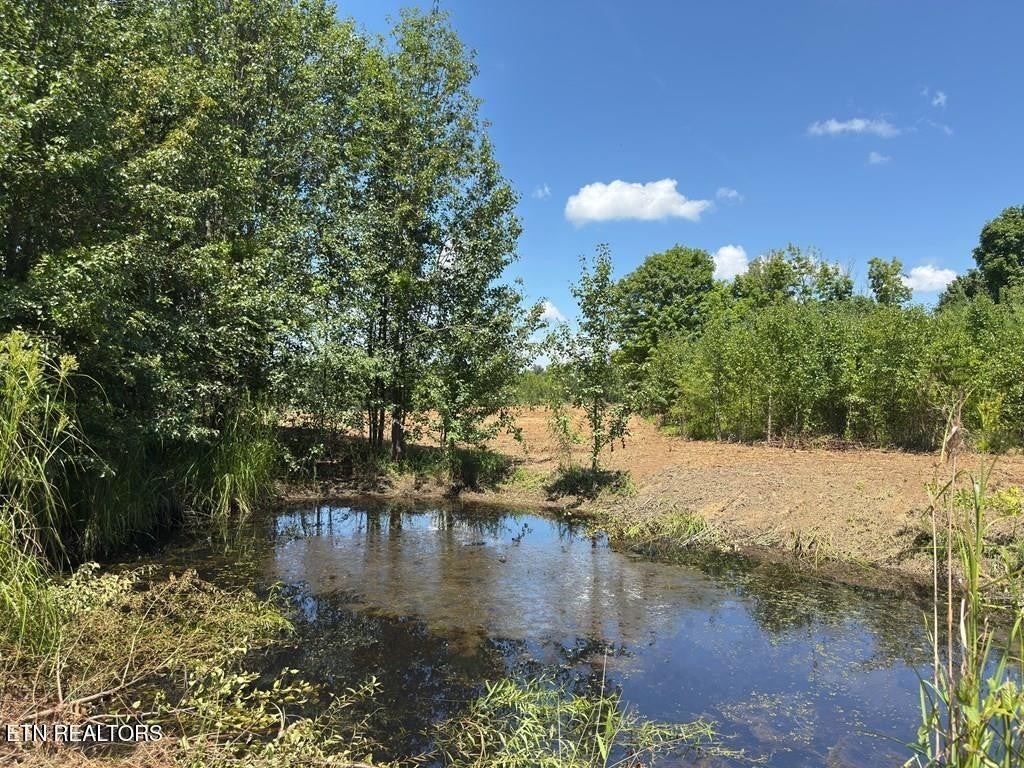 Photo of Listing #3156521