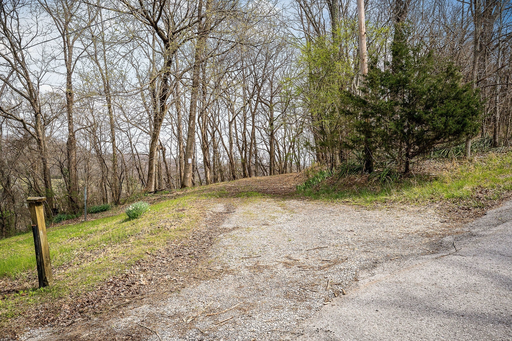 Photo of Listing #3158383