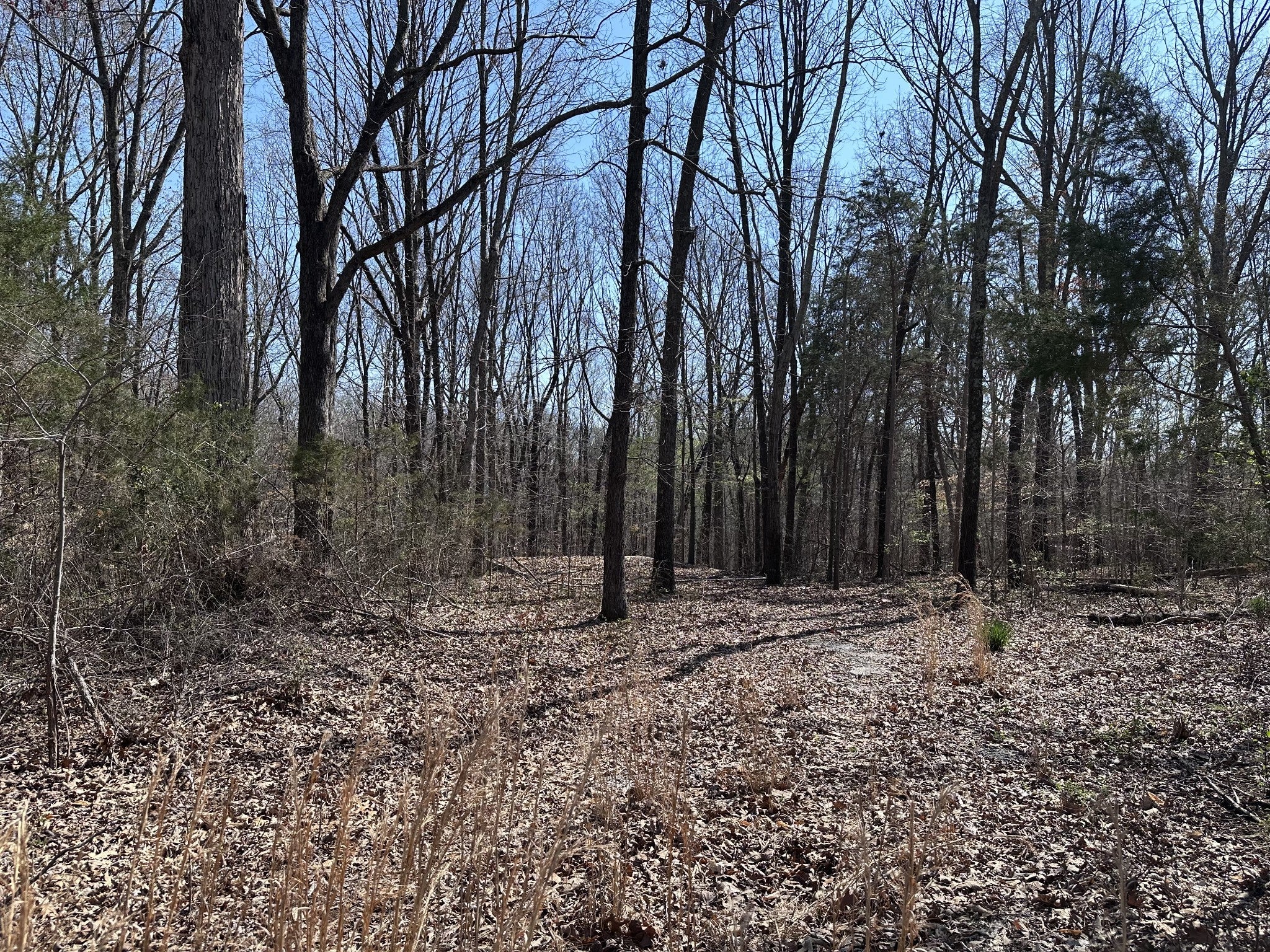 Photo of Listing #3158748