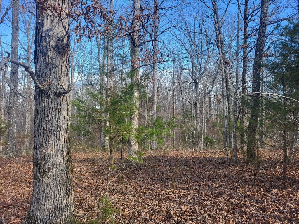 502 Bailey Rd, Benton