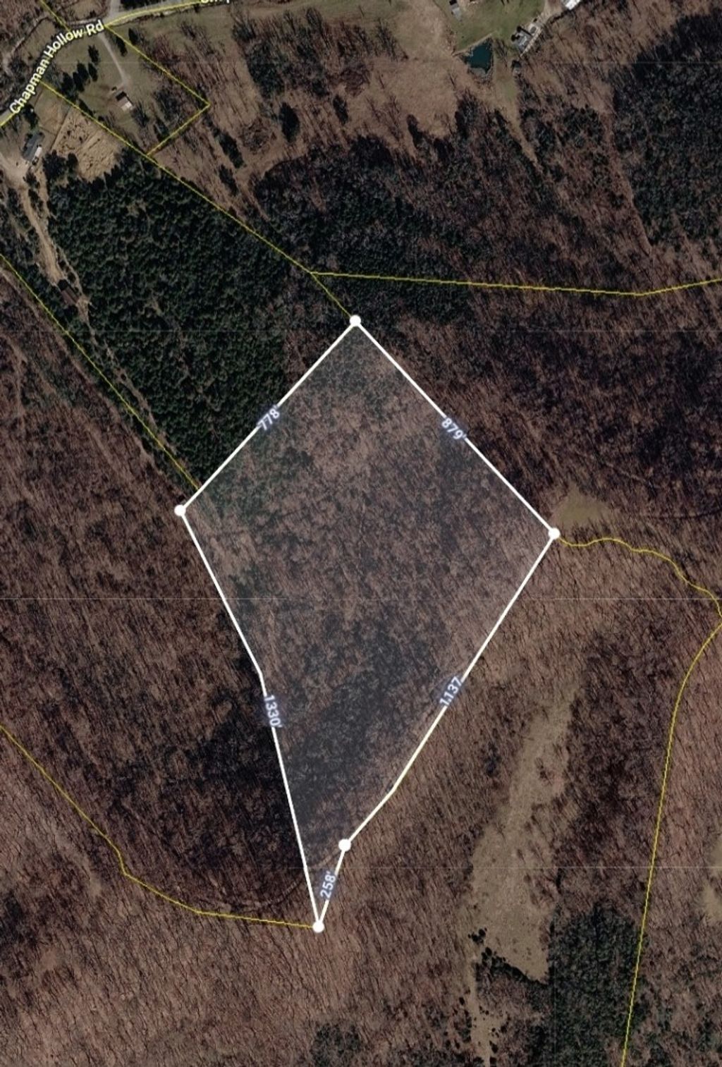 0 Chapman Hollow Rd, Dowelltown