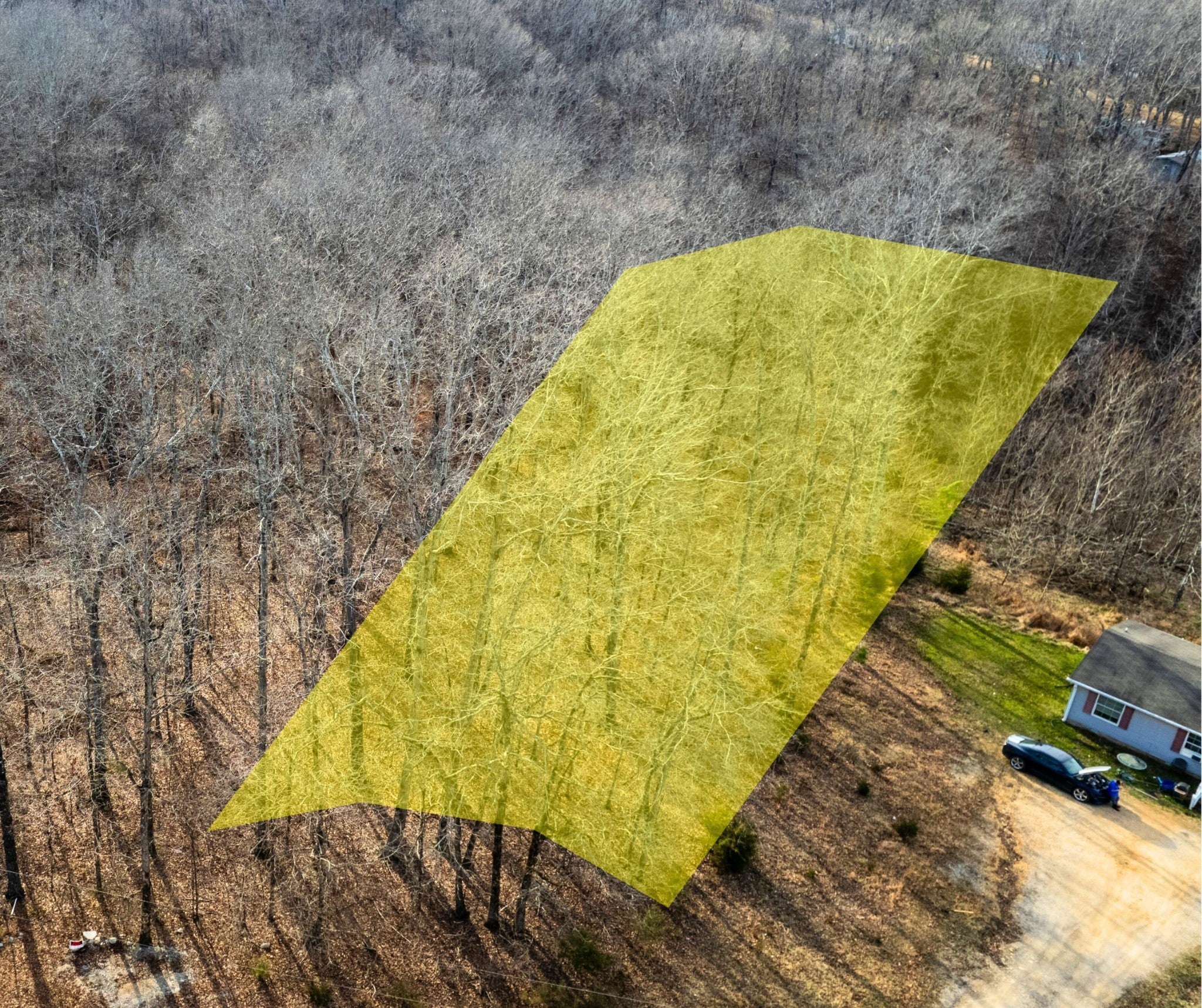 Photo of Listing #3159454