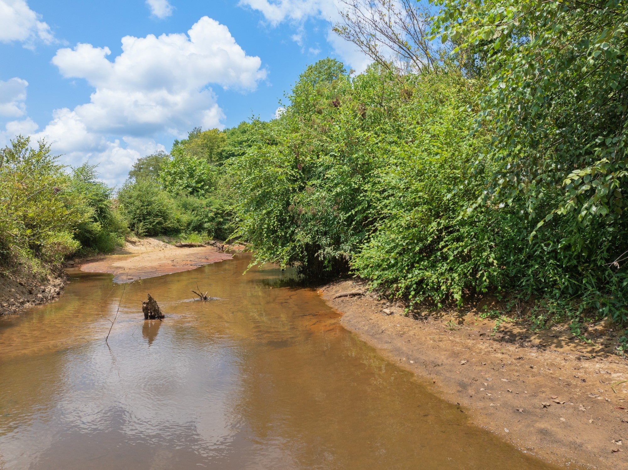 Photo of Listing #3159582