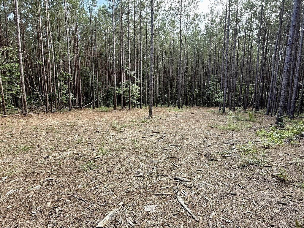 191 Seiber Ridge Rd, Hohenwald