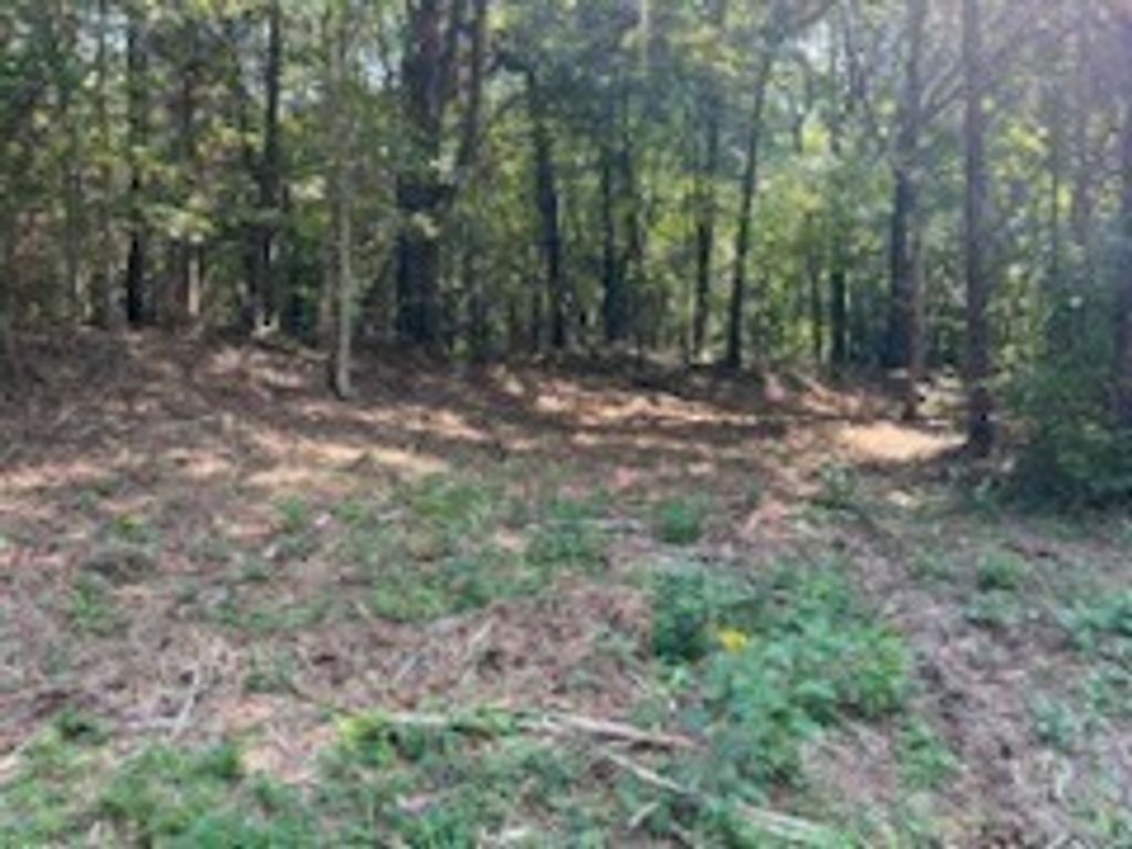 0 Shelter Branch Road, Charlotte