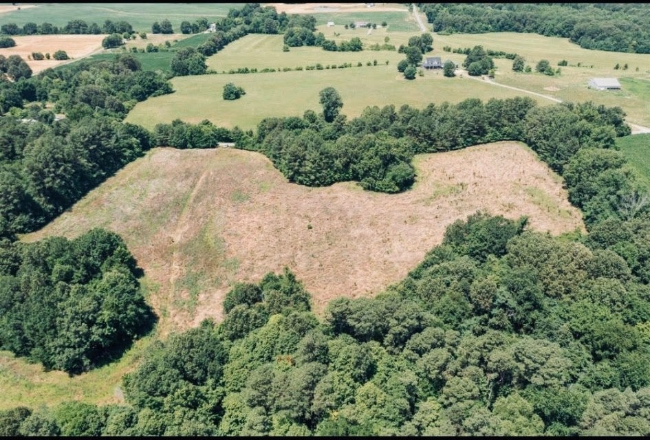 Photo of Listing #3160112