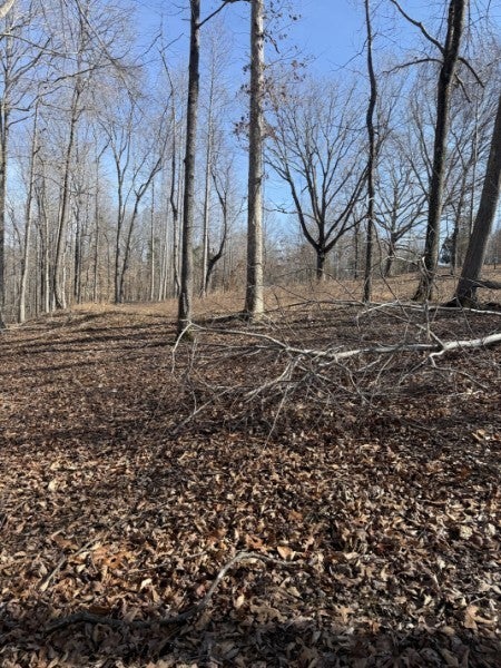 Photo of Listing #3160143