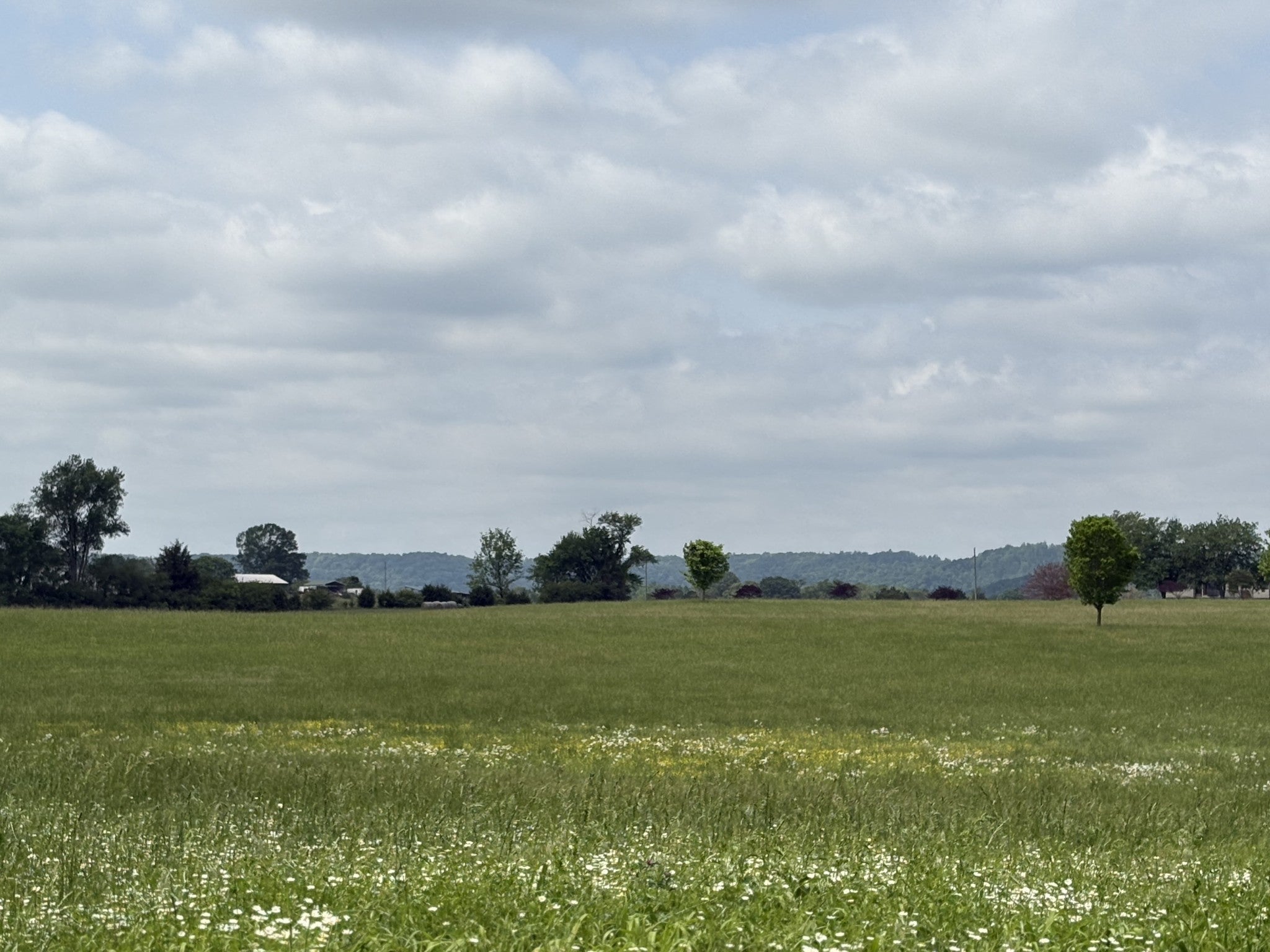 Photo of Listing #3163590