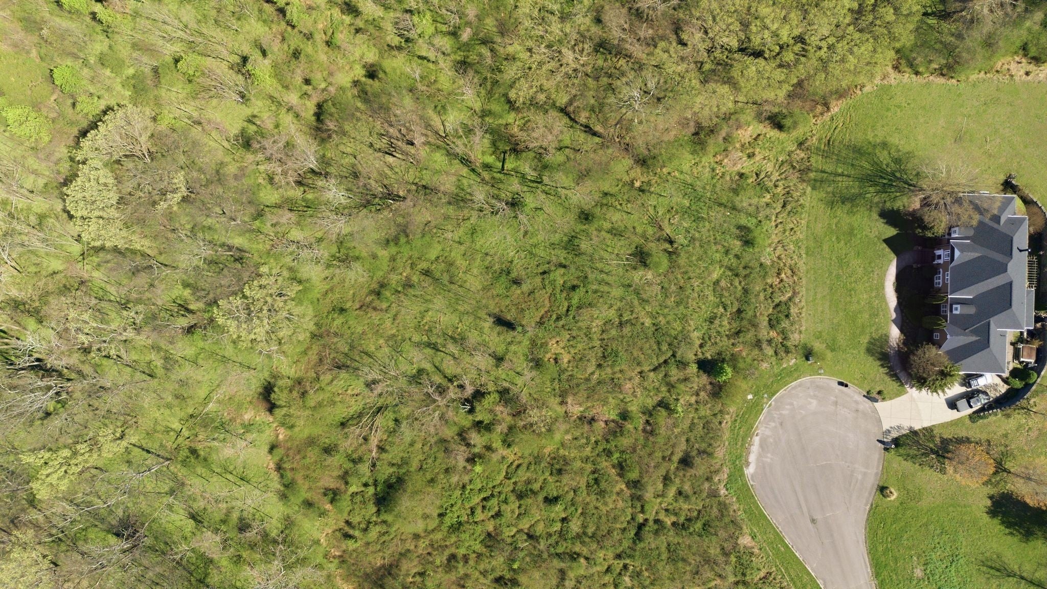 Photo of Listing #3163811