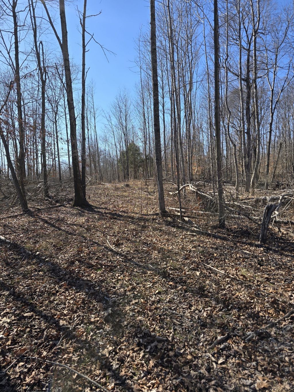 0 Honey Fork Road, Indian Mound