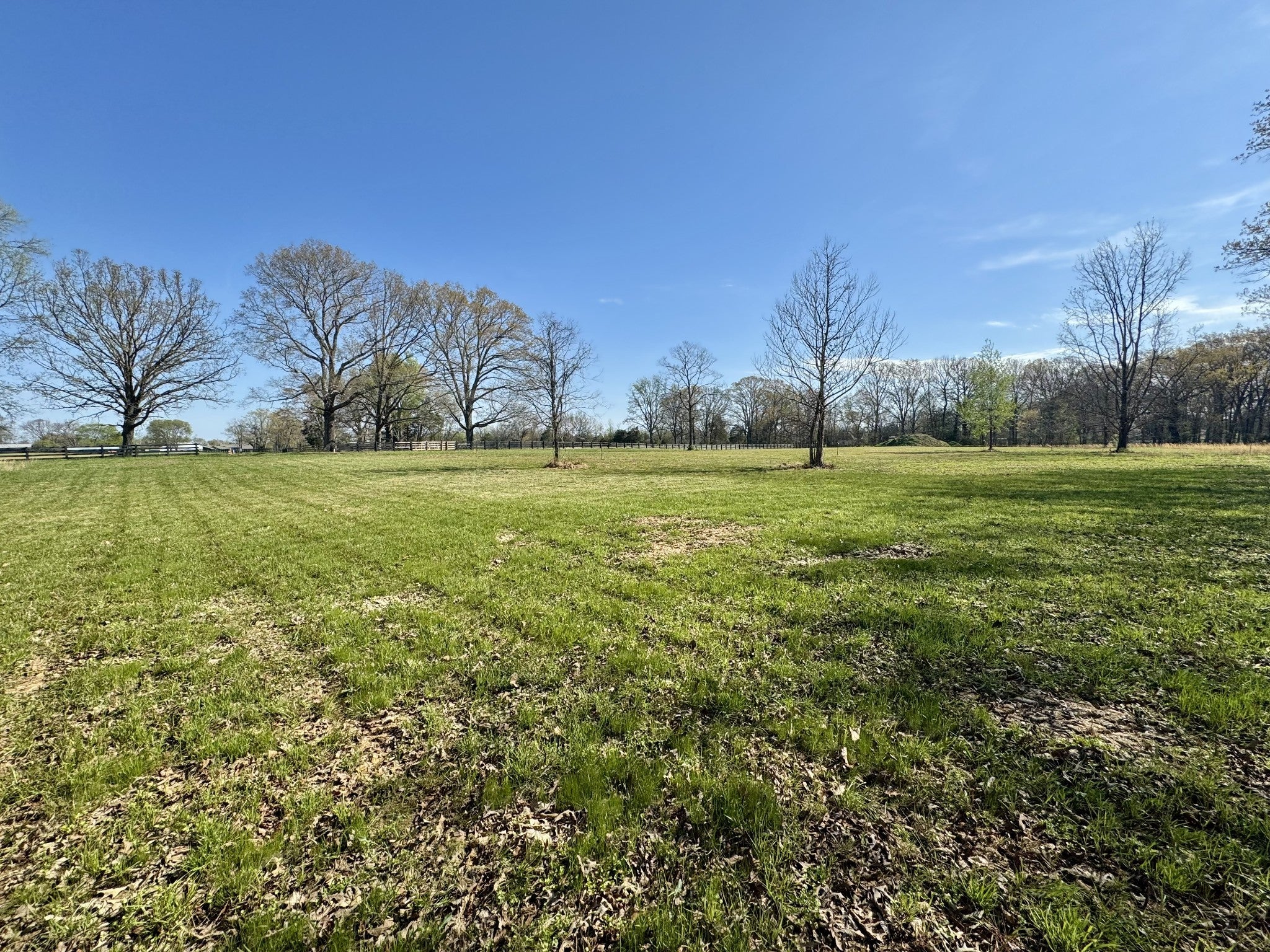 Photo of Listing #3164388