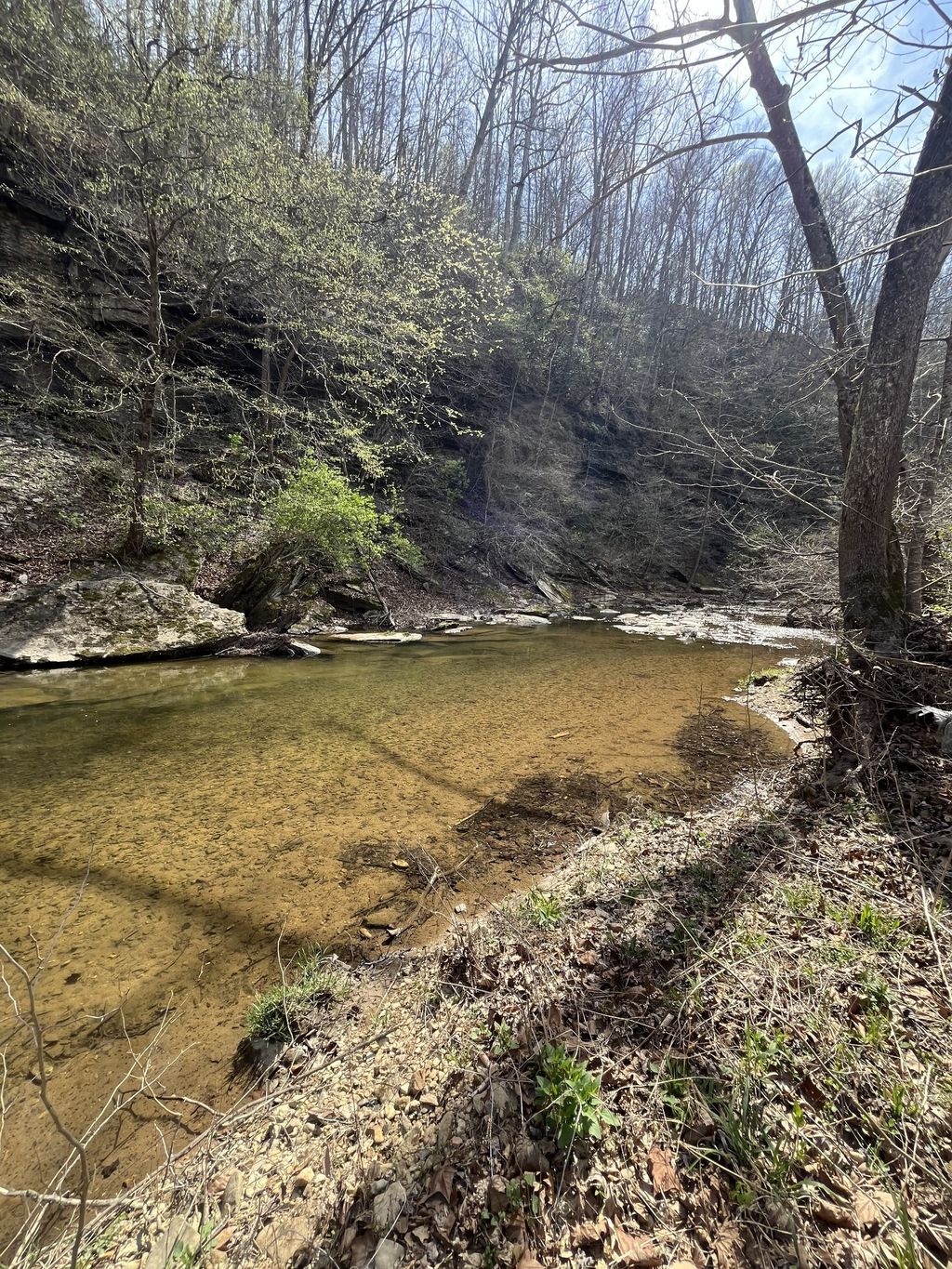 100 Henley Rd, Ashland City