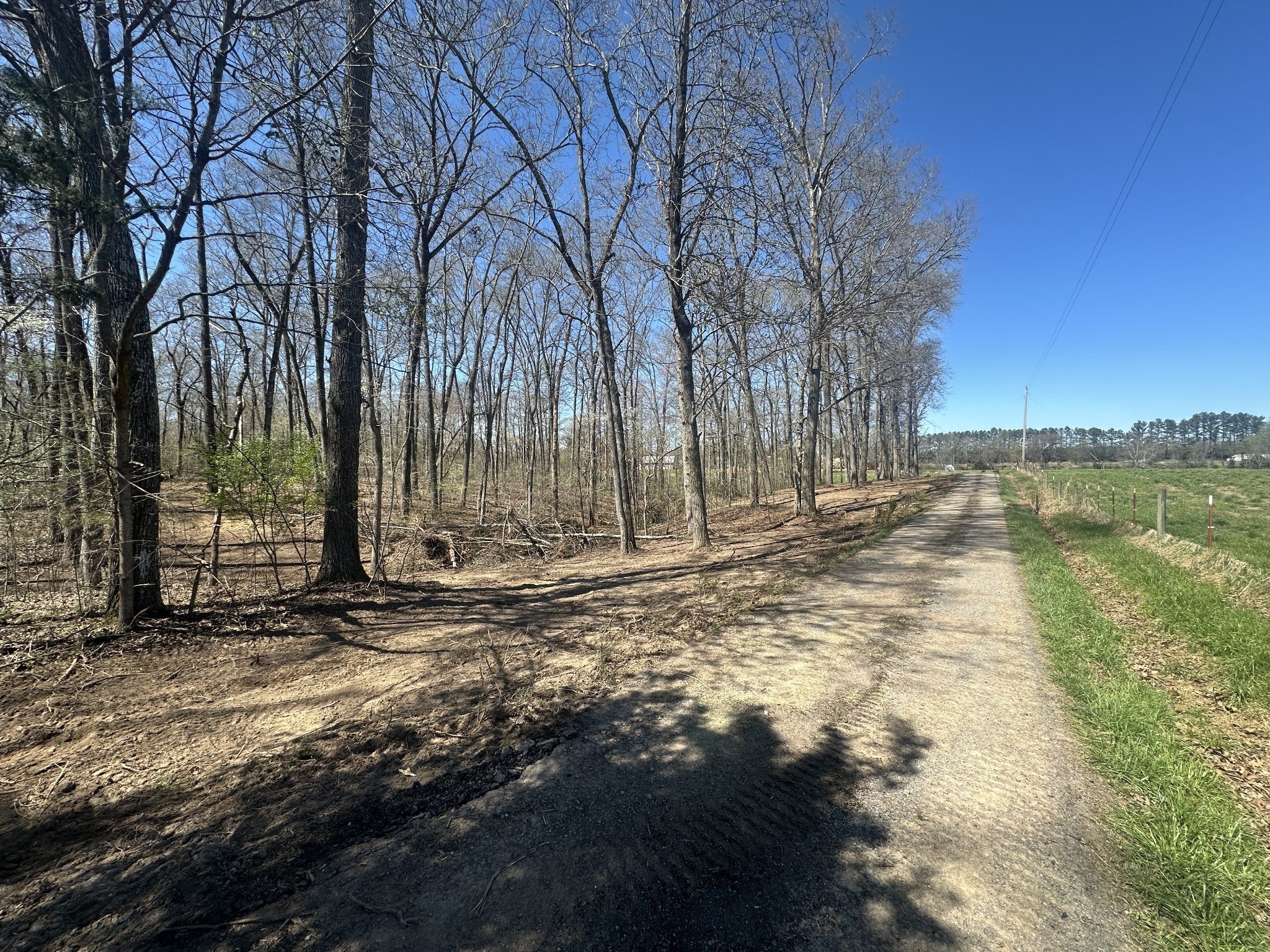 Photo of Listing #3164704