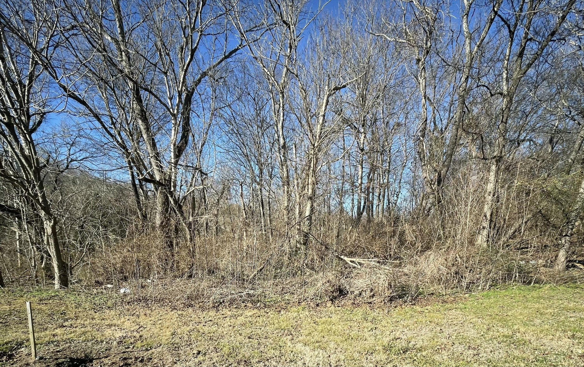 Photo of Listing #3165041