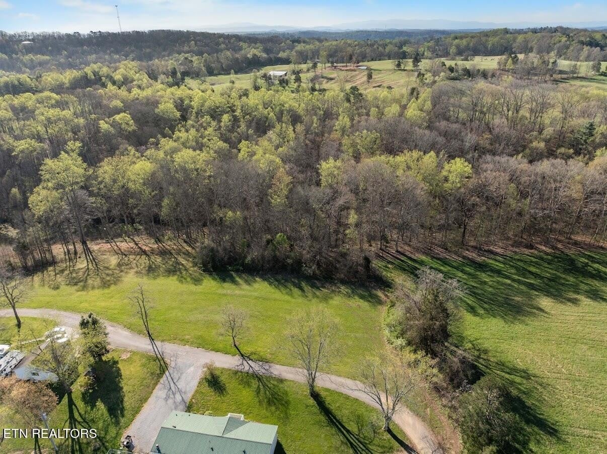 Photo of Listing #3165074