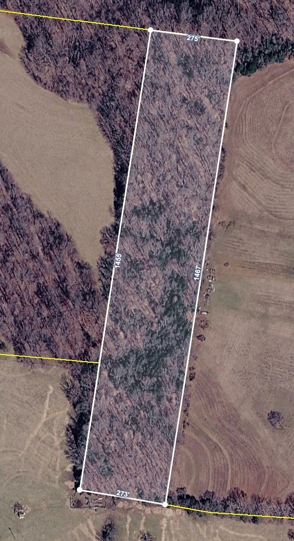 Photo of Listing #3165099