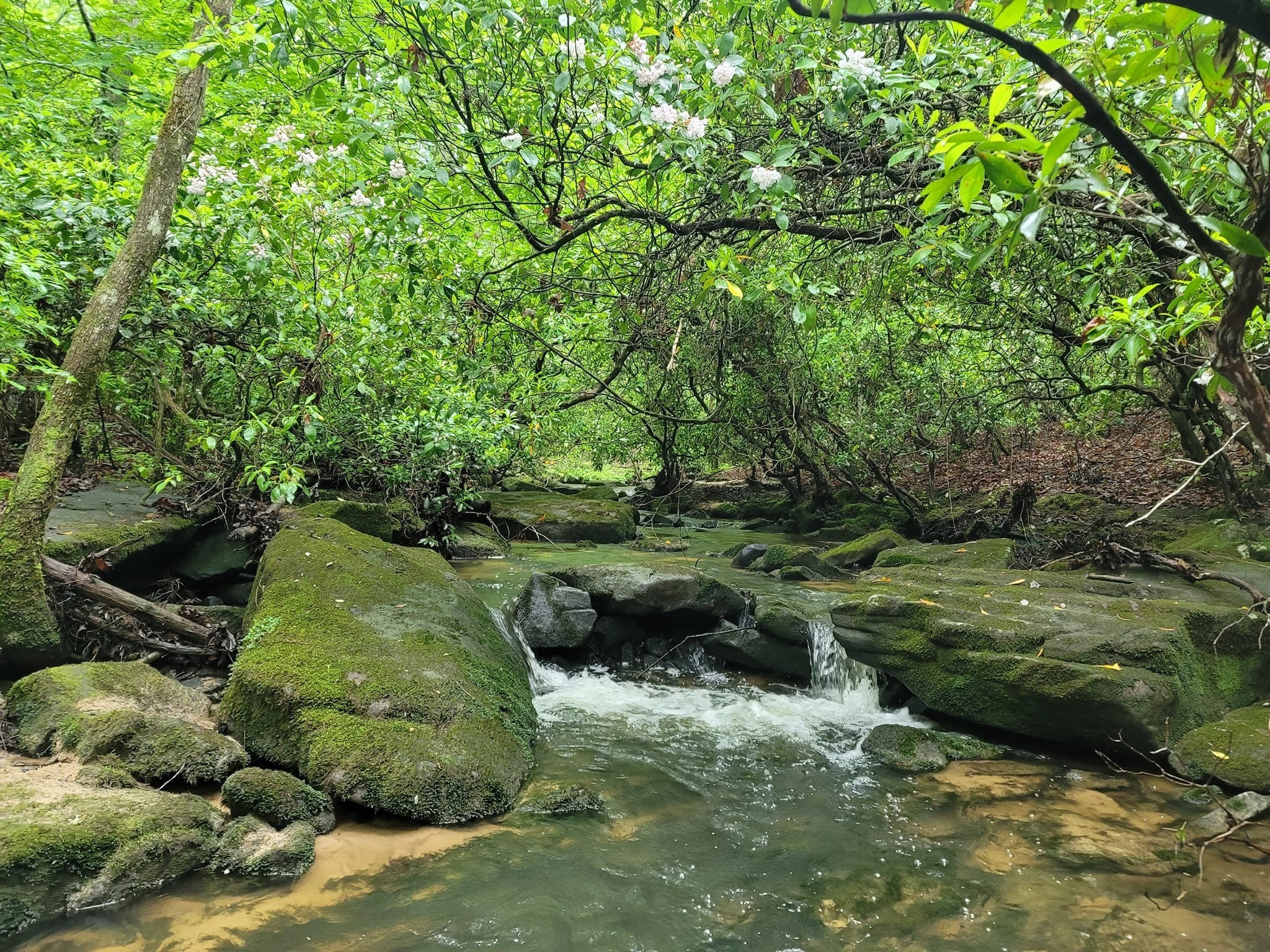 Photo of Listing #3165127