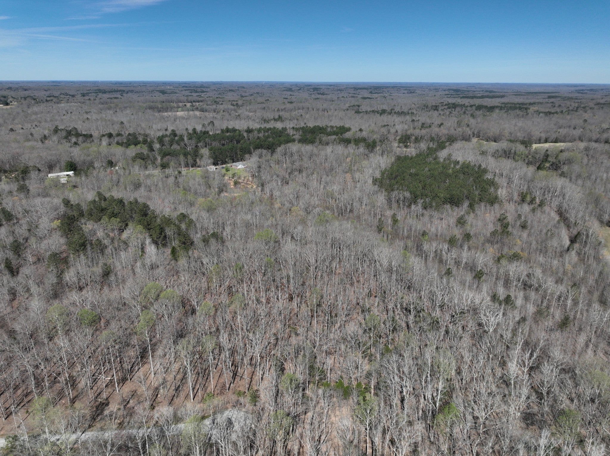 Photo of Listing #3165173