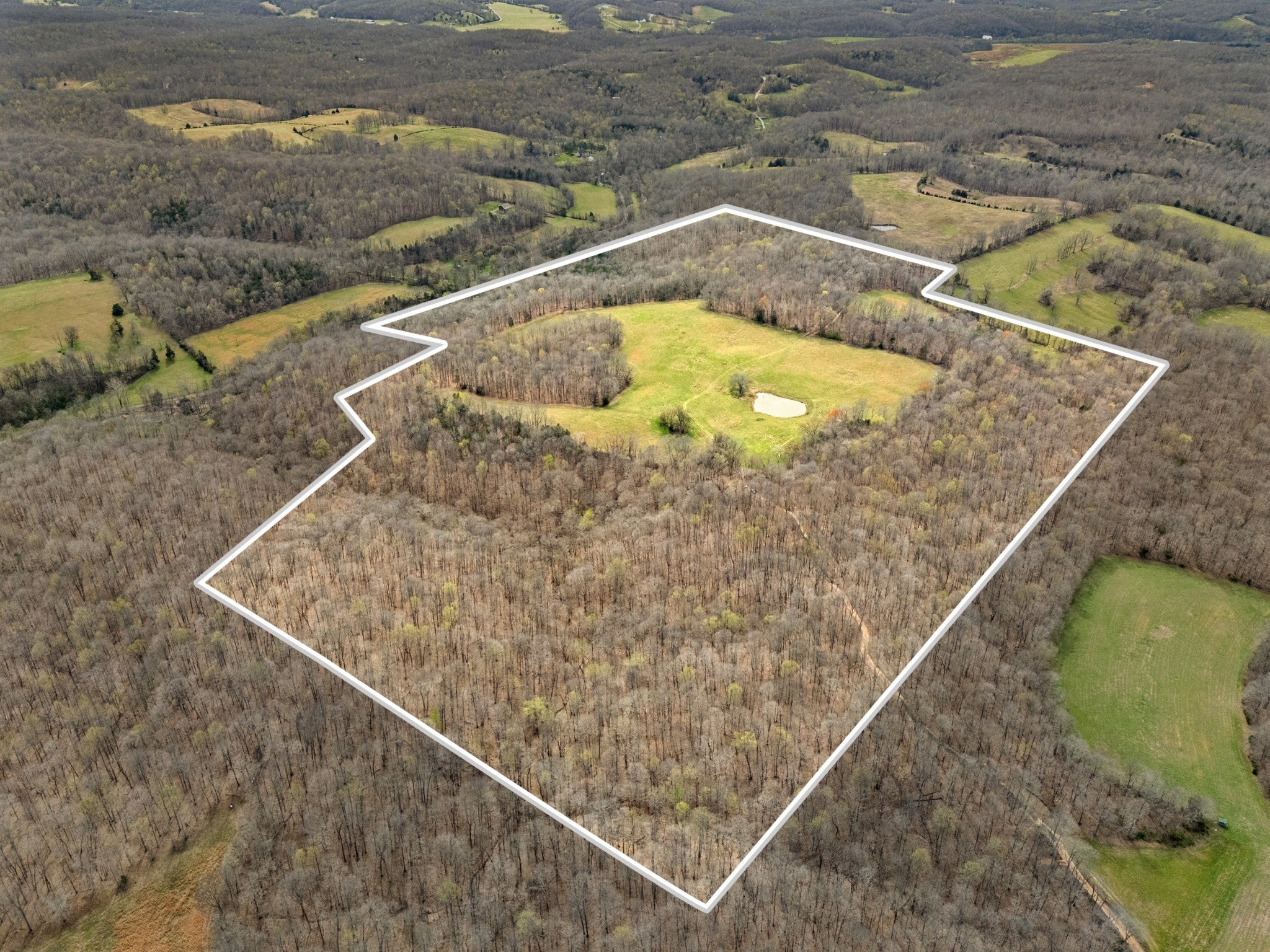 Photo of Listing #3165397