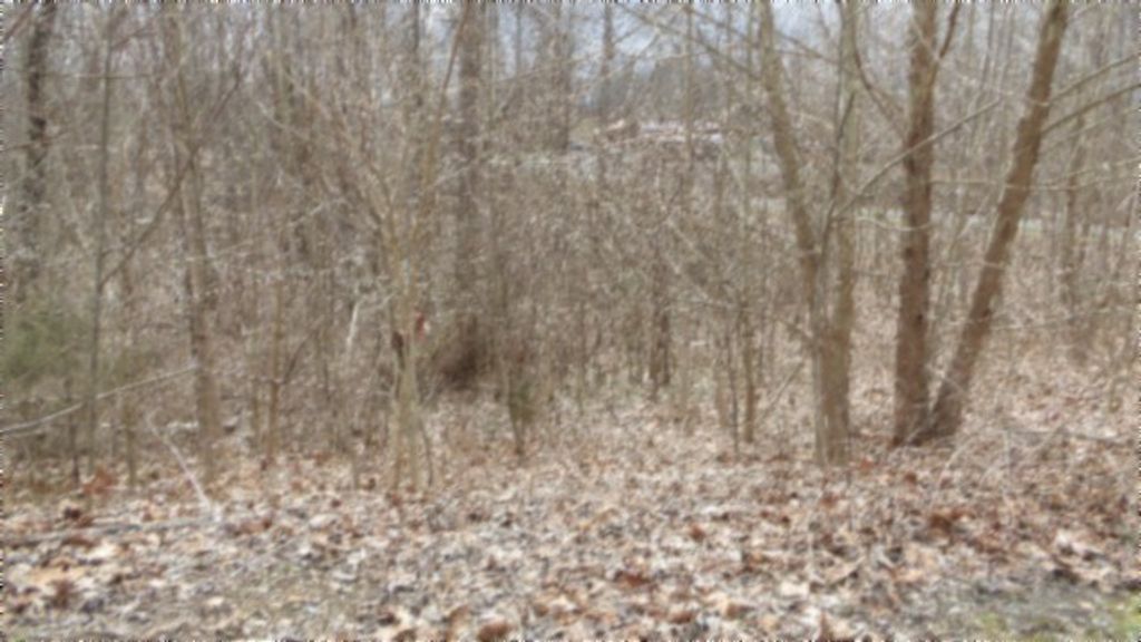 0 Beaver Lane, Gainesboro