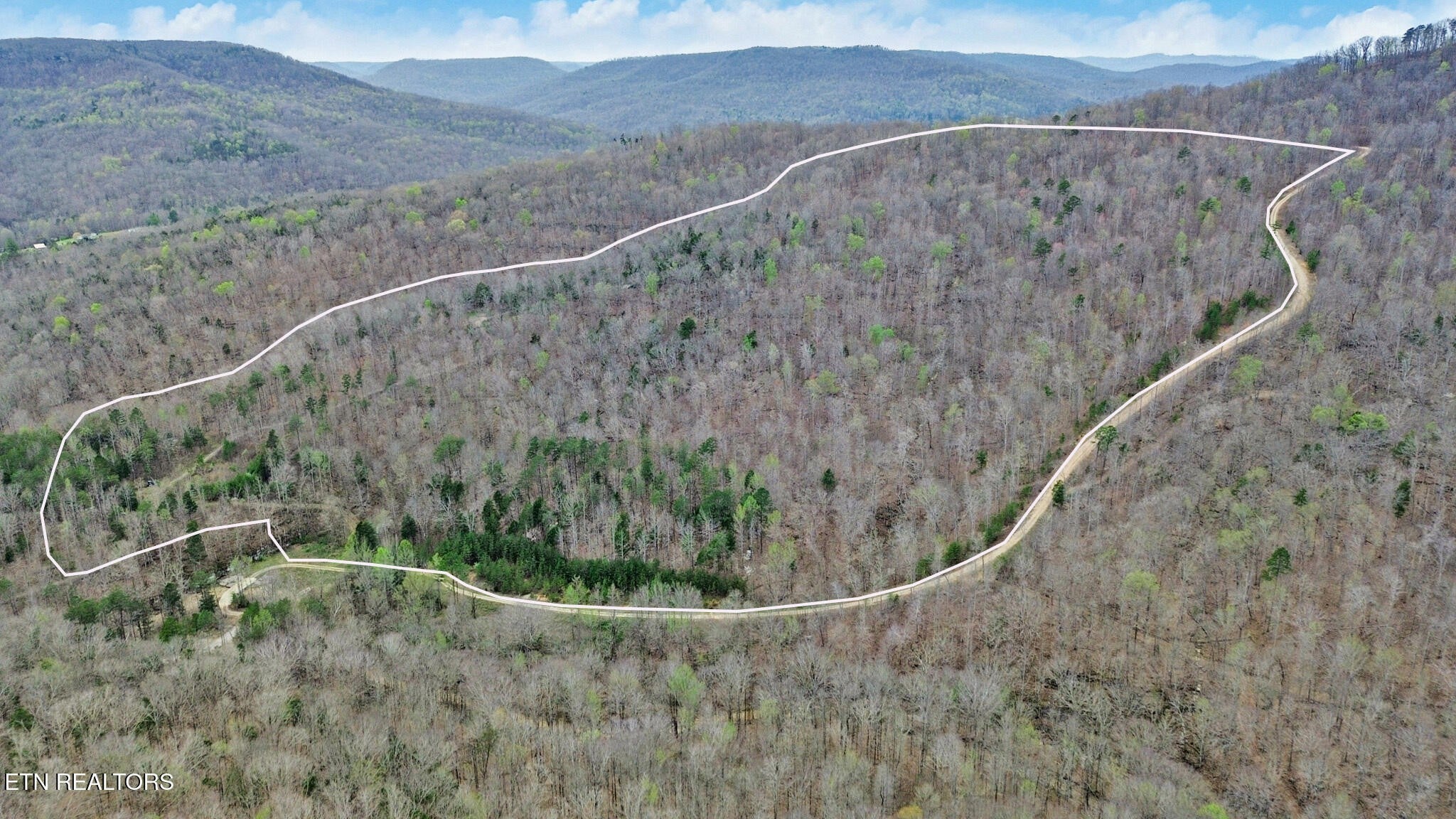 Photo of Listing #3165426