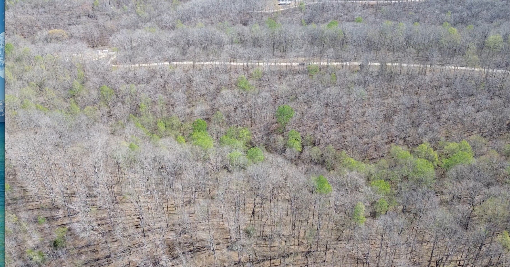 Photo of Listing #3166104