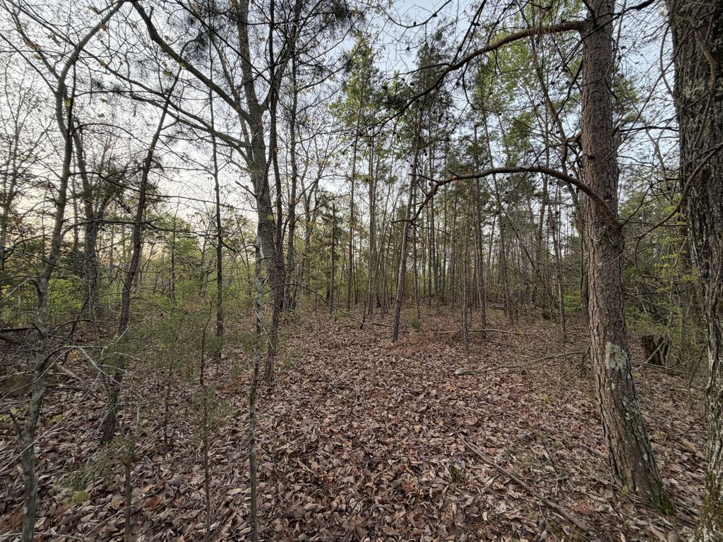 0 Salem Road, Centerville