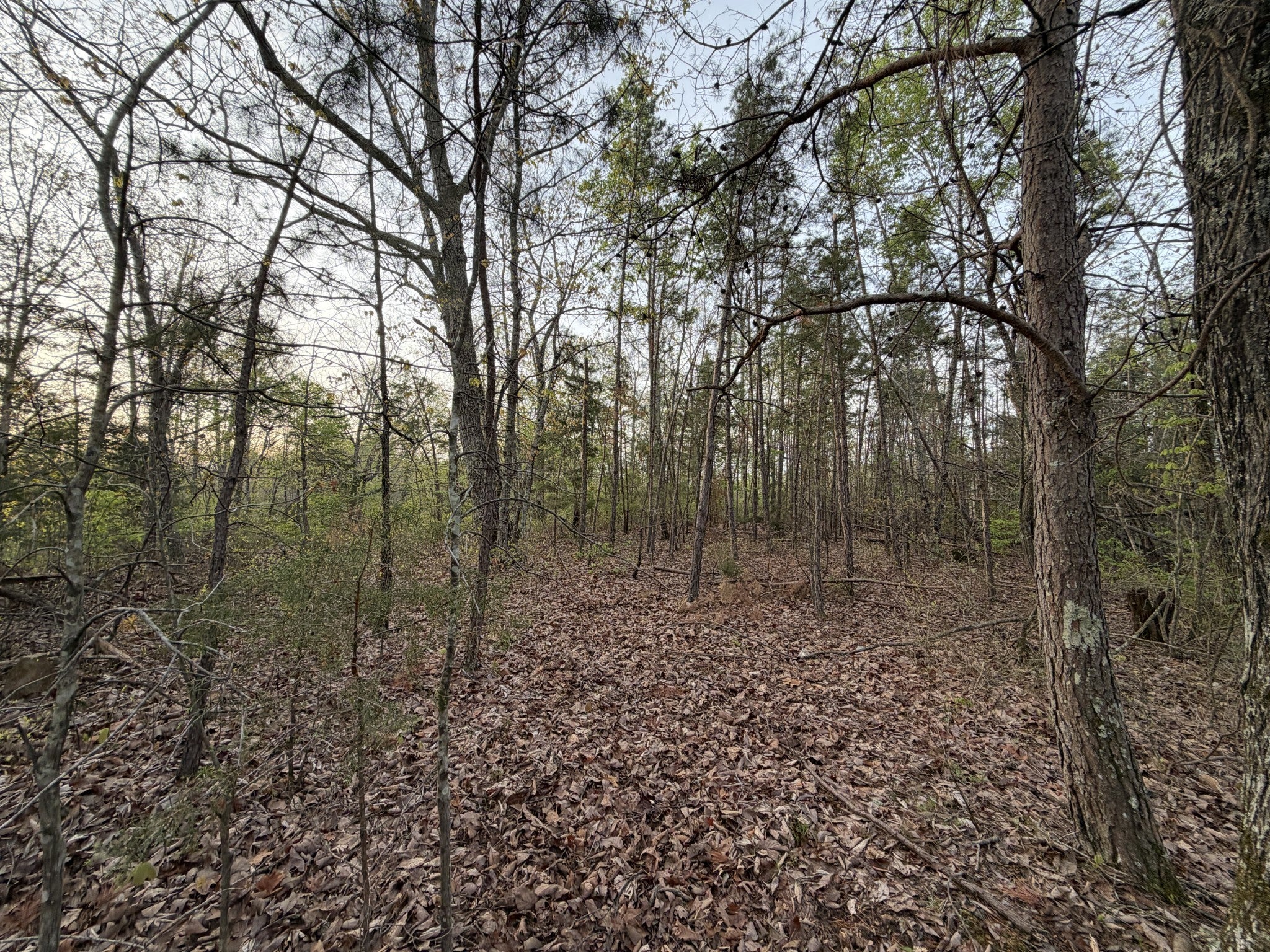 Photo of Listing #3166540